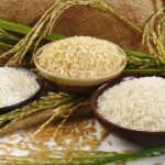 ២ខែដើមឆ្នាំ២០២៦ កម្ពុជានាំចេញអង្ករជាង២៤ម៉ឺនតោន ទទួលបានចំណូលជាង ១៤២លានដុល្លារ